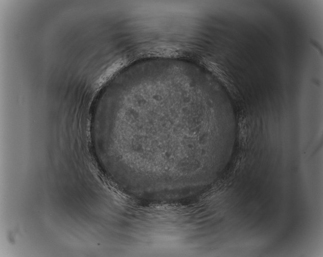 X0000100860679200807111253