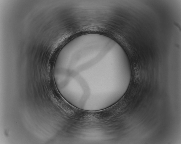 X0000100860680200807111253