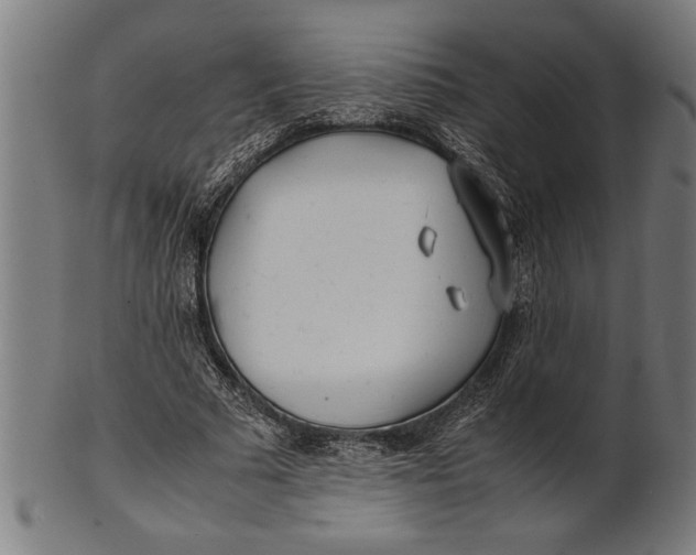 X0000100860681200807111253