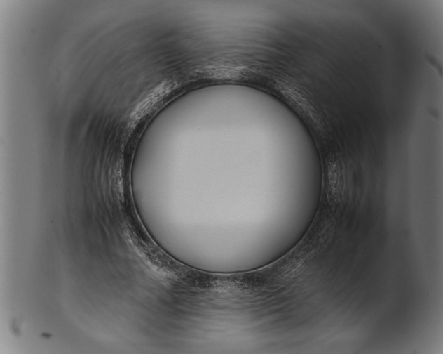 X0000100860682200807111253