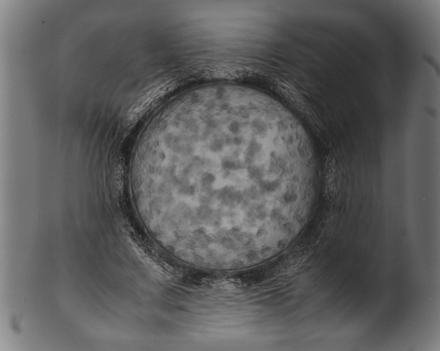 X0000100860683200807111253