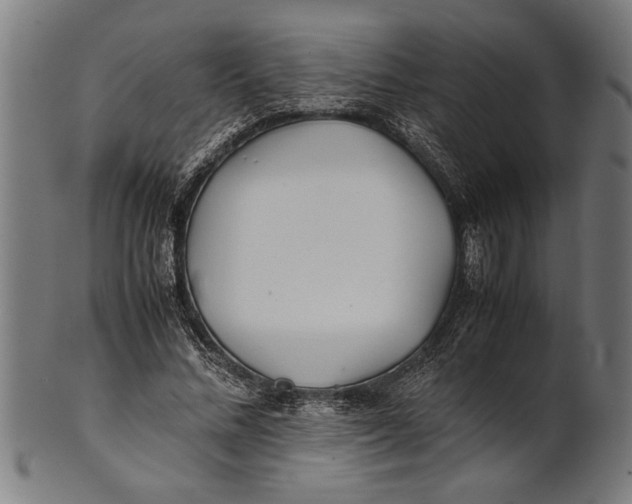 X0000100860684200807111253