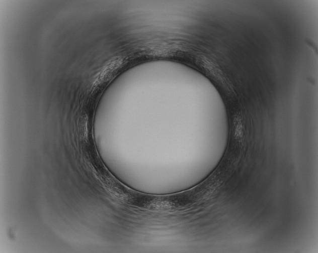 X0000100860685200807111253