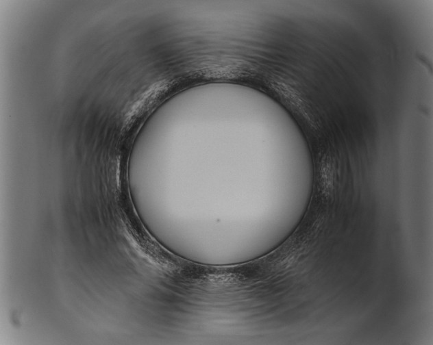 X0000100860686200807111253