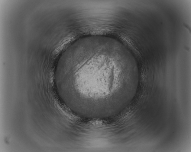 X0000100860687200807111253