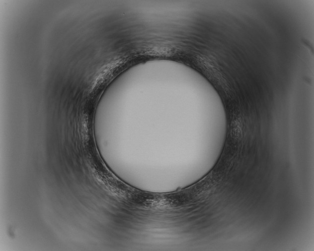 X0000100860688200807111253