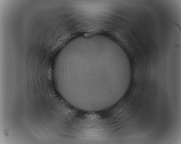 X0000100860689200807111253