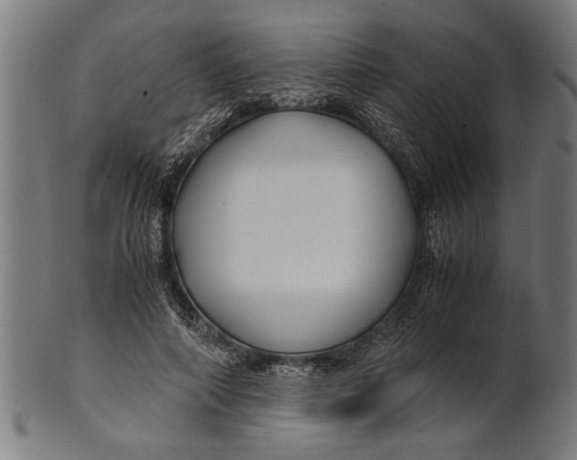 X0000100860690200807111253