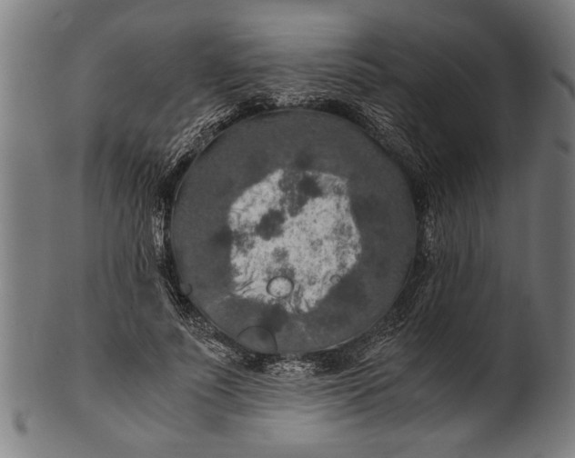 X0000100860691200807111253