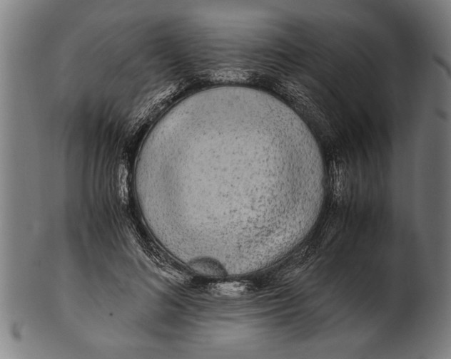 X0000100860692200807111253