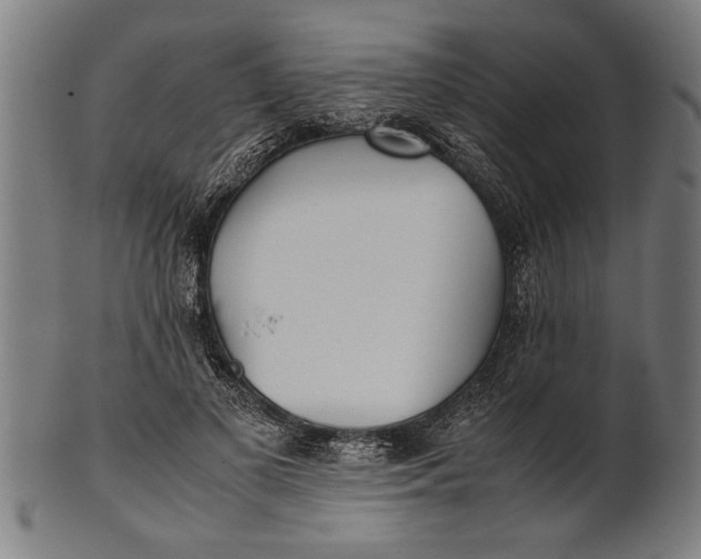 X0000100860693200807111253