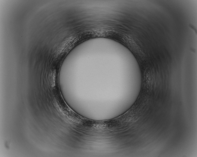 X0000100860694200807111253