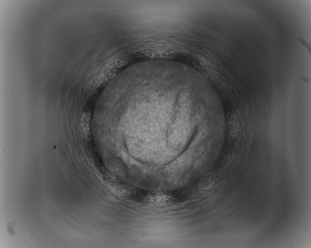 X0000100860695200807111253