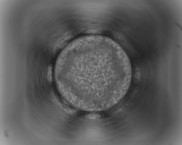 X0000100860696200807111253