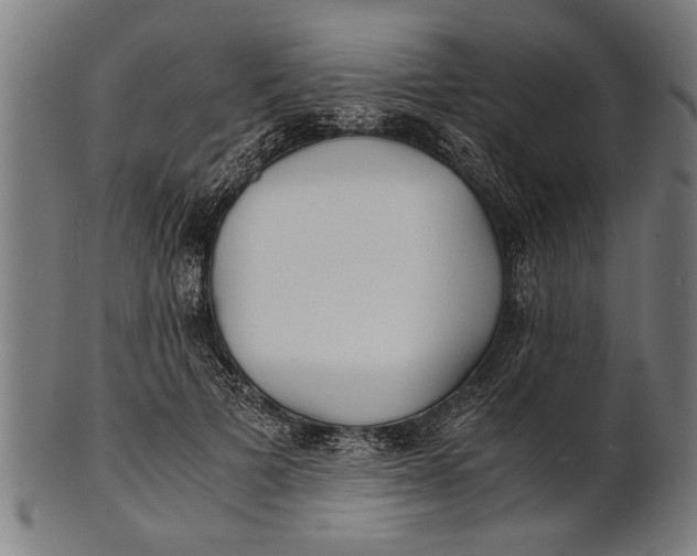 X0000100860697200807111253