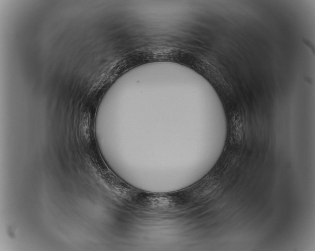 X0000100860698200807111253