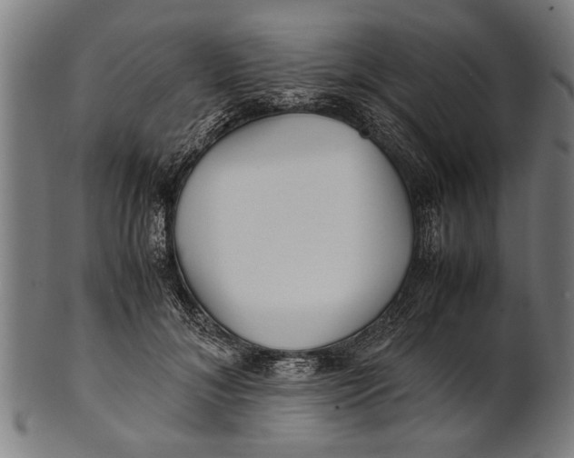 X0000100860700200807111253