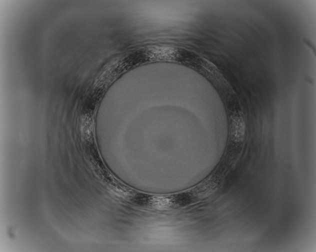 X0000100860701200807111253