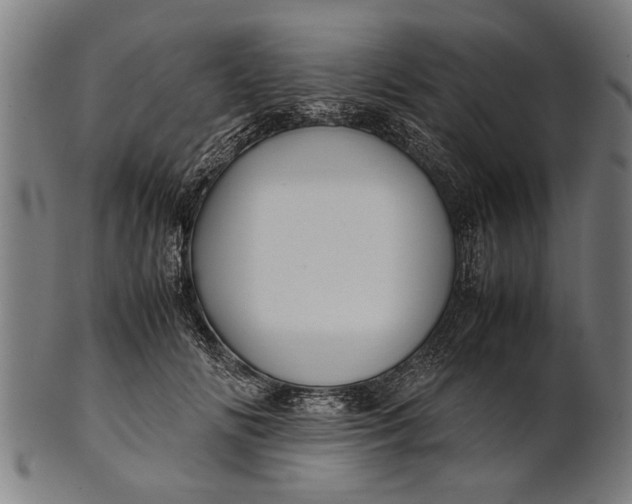 X0000100860702200807111253