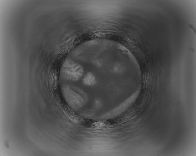 X0000100860703200807111253