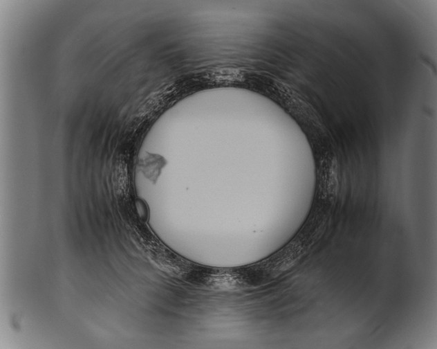 X0000100860704200807111253