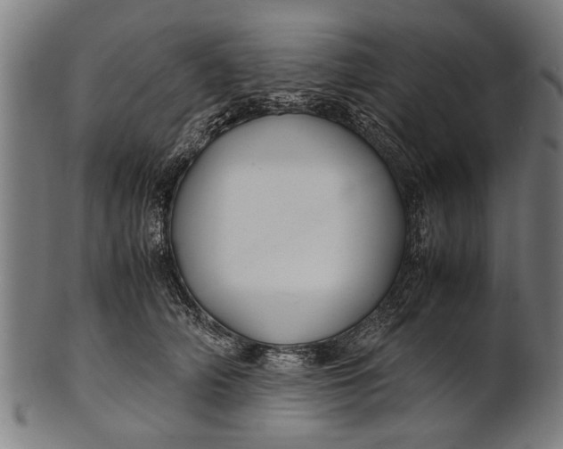 X0000100860706200807111253