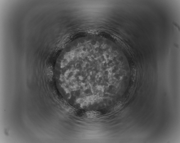 X0000100860707200807111253