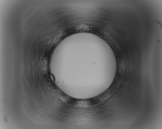 X0000100860708200807111253