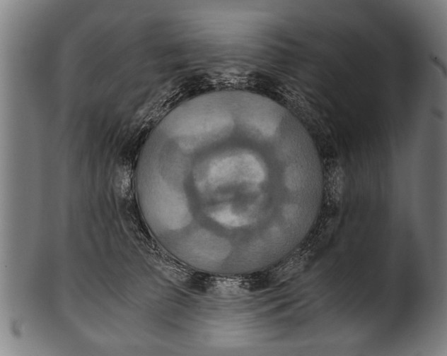 X0000100860709200807111253