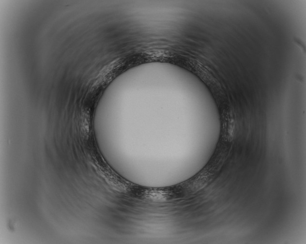 X0000100860710200807111253