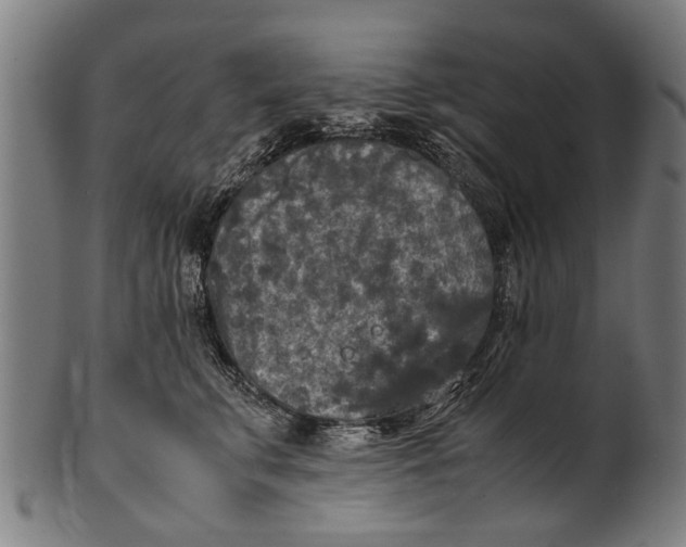 X0000100860711200807111253