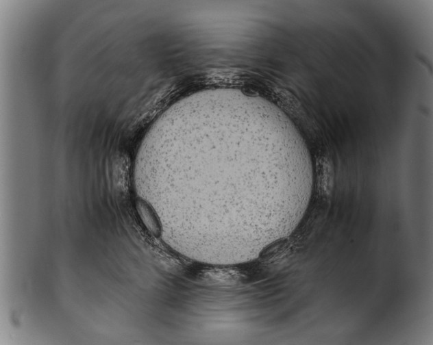 X0000100860712200807111253