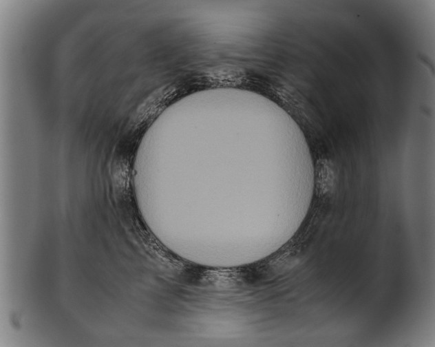 X0000100860713200807111253