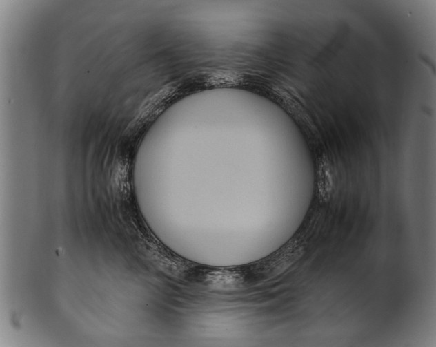 X0000100860714200807111253