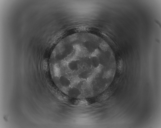 X0000100860715200807111253