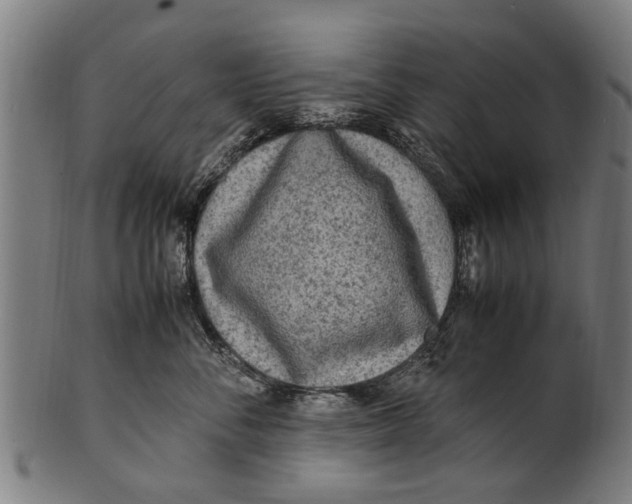 X0000100860716200807111253