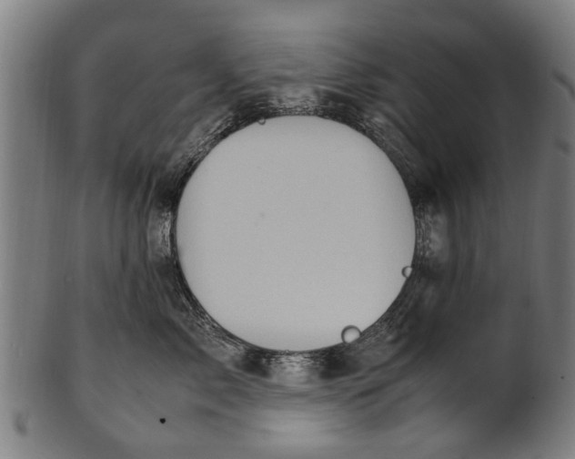 X0000100860717200807111253