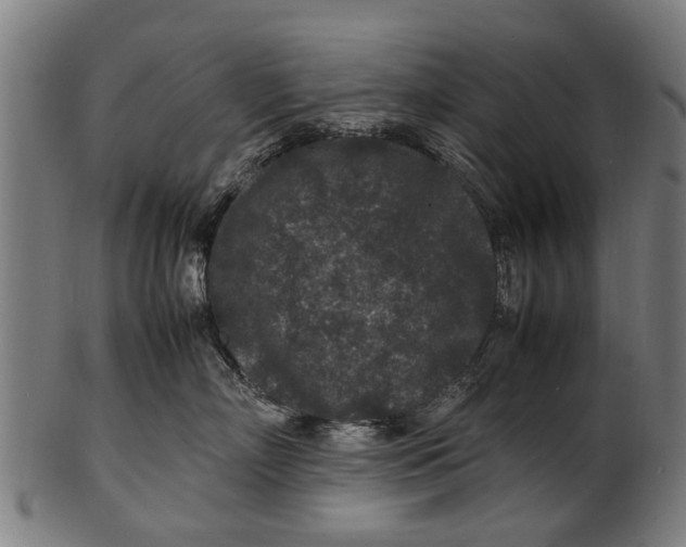 X0000100860718200807111253