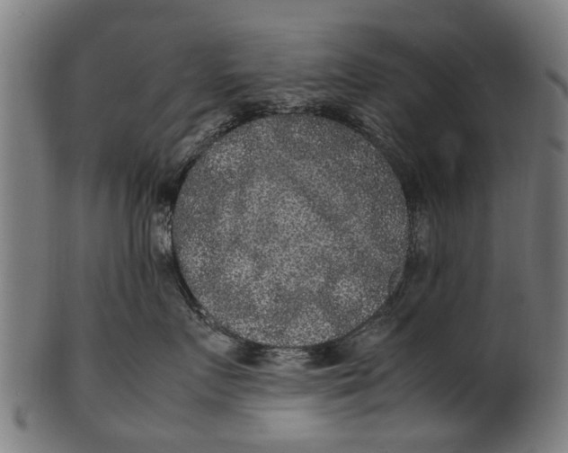 X0000100860719200807111253