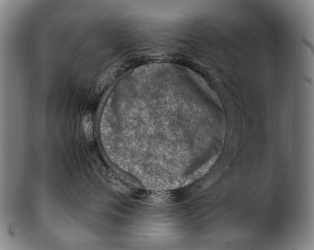 X0000100860720200807111253