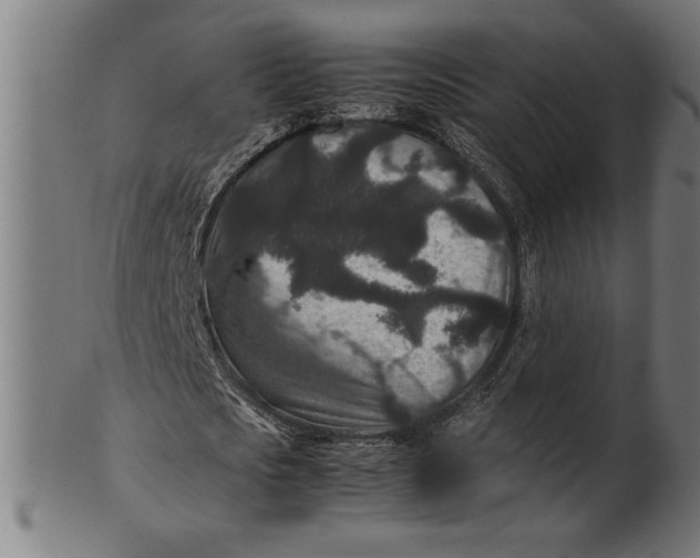 X0000100860721200807111252