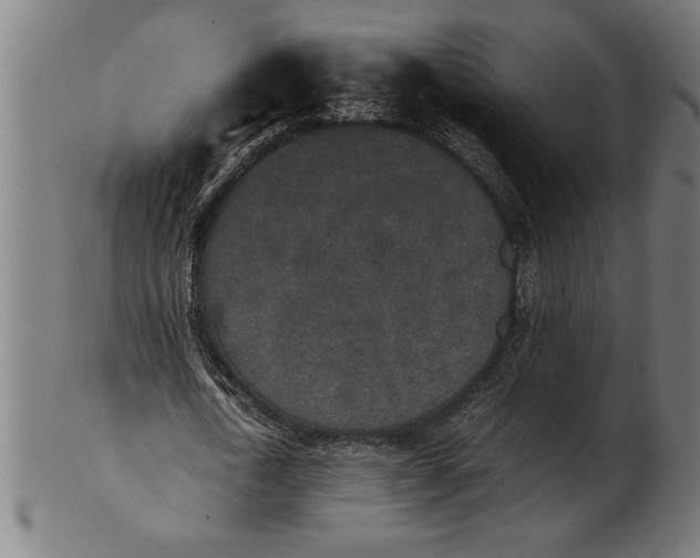 X0000100860722200807111252