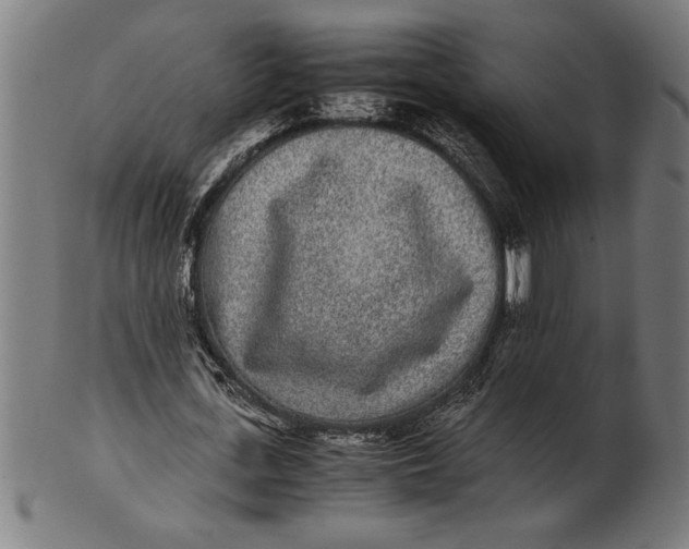 X0000100860723200807111252