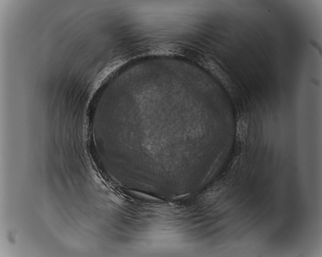 X0000100860724200807111252