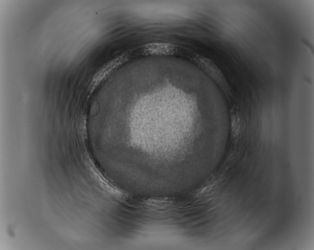 X0000100860725200807111252