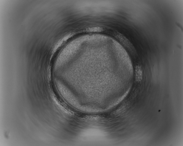 X0000100860726200807111252