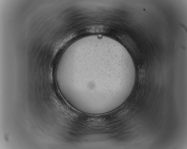 X0000100860727200807111252