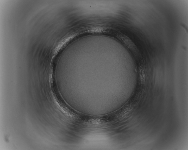 X0000100860728200807111252