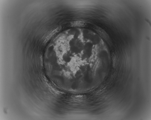 X0000100860729200807111252