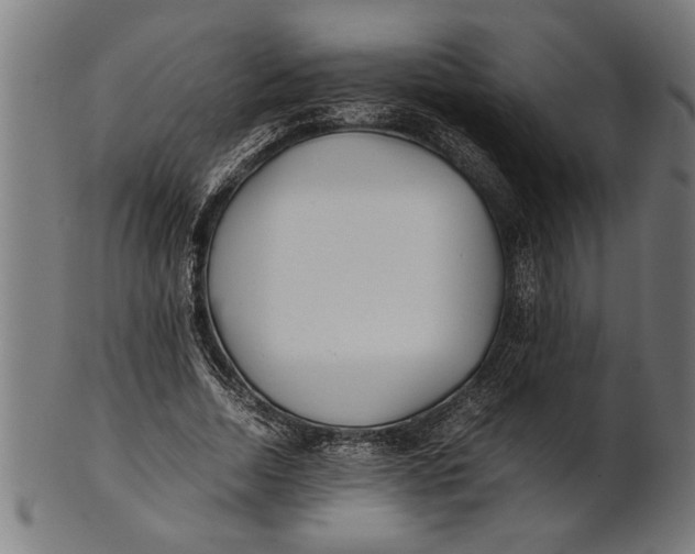 X0000100860730200807111252